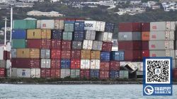 新西兰地震致惠灵顿港口及仓库关闭