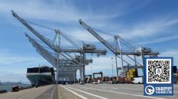 奥克兰港开始提高四台起重机的高度