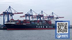 阳明海运CFO表示目前暂无并购计划