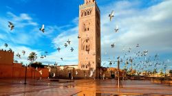 出口摩洛哥，哪些中国产品最受欢迎？