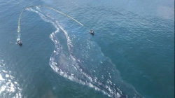 导致美国加州管道漏油，MSC、中远货轮拥有者被起诉